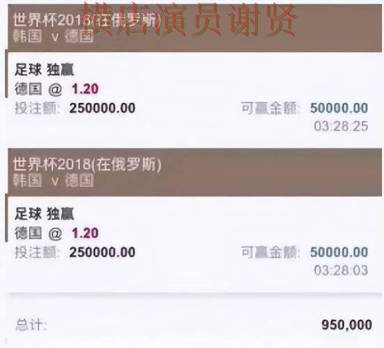 汇总世界杯投注平台：从平台排行到使用全流程解析 - 世界杯官方信息